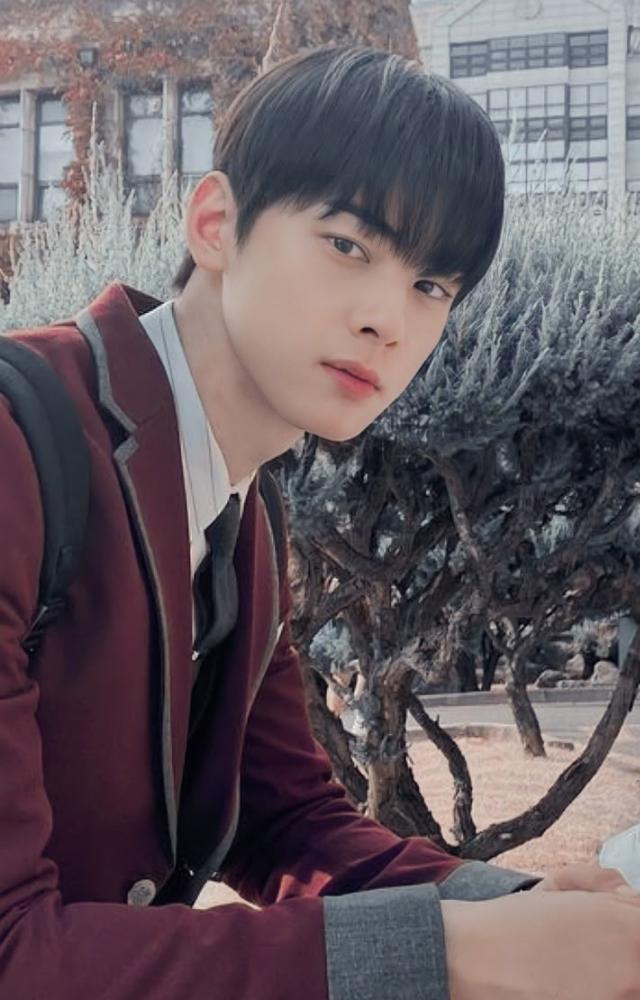 A fan favorite, Cha Eun-woo’s portrayal of Lee Su-ho in this high school romance is packed with emotional depth and swoon-worthy moments.