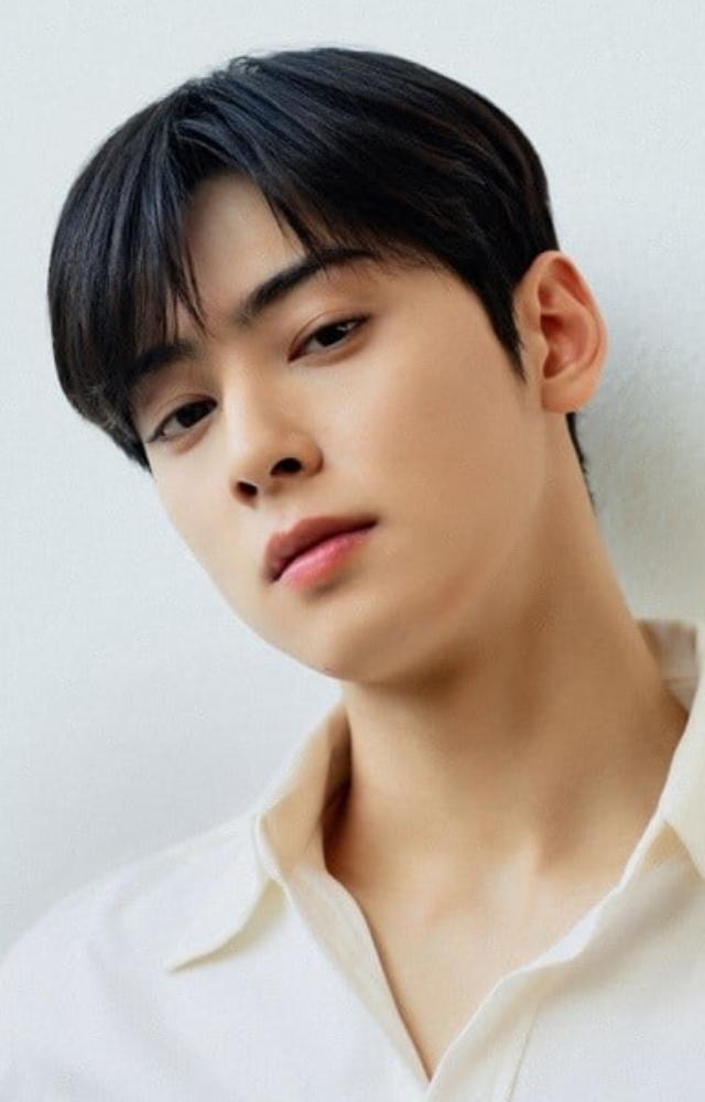 Cha Eun-woo`s K-Dramas Hits You`ll Love