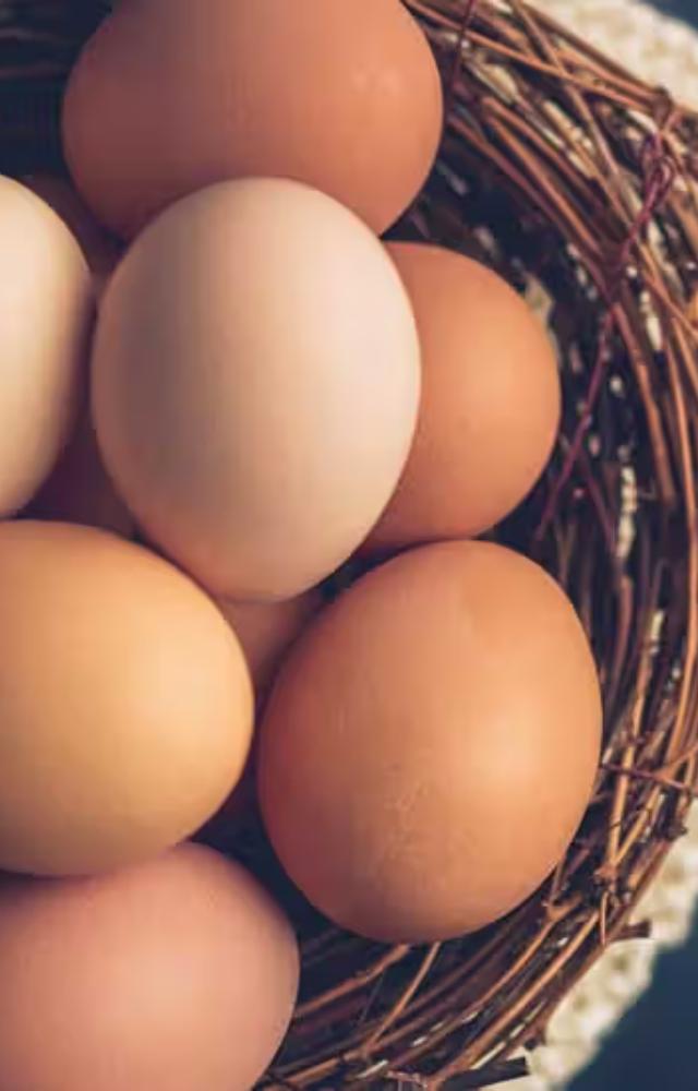 A complete protein source that fuels muscle growth and recovery.