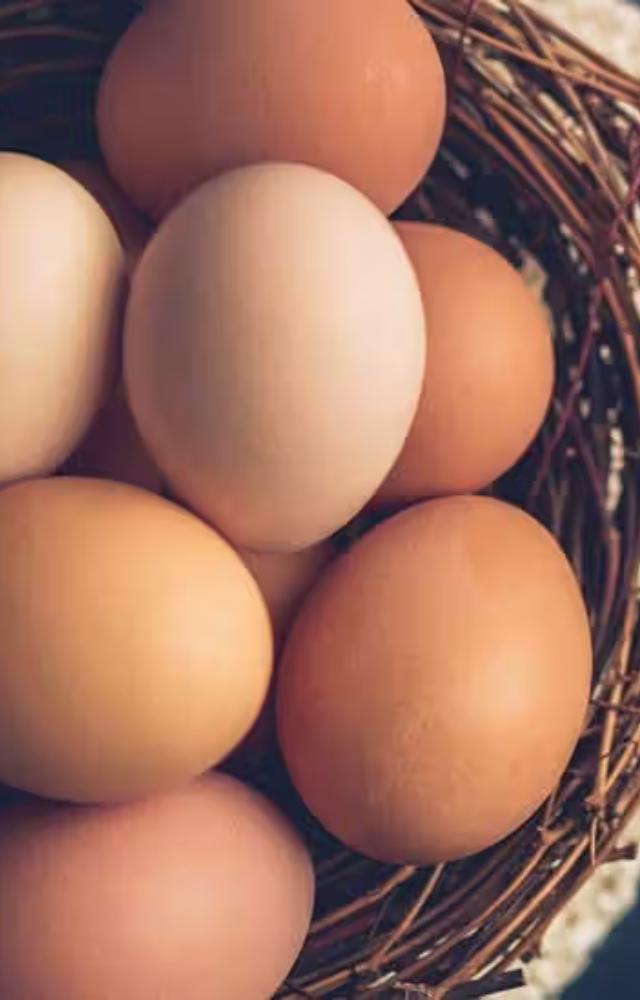 High in protein and essential amino acids, eggs help sustain energy longer. A perfect breakfast choice for busy mornings.
