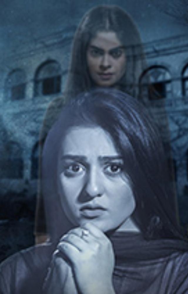 A chilling tale of revenge where a spirit haunts a family with dark secrets.
