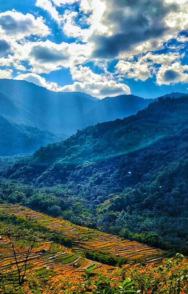 India’s first green village, Khonoma, is a haven for nature lovers with its eco-friendly practices and stunning hills.