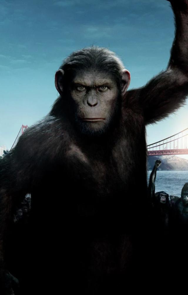 This emotionally rich origin story set a fresh tone for the Apes franchise, blending action with depth.
