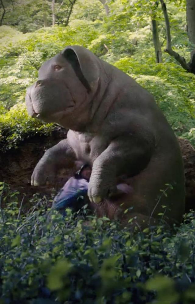 A heartwarming story with a powerful message. Witness the bond between a girl and her beloved super pig.