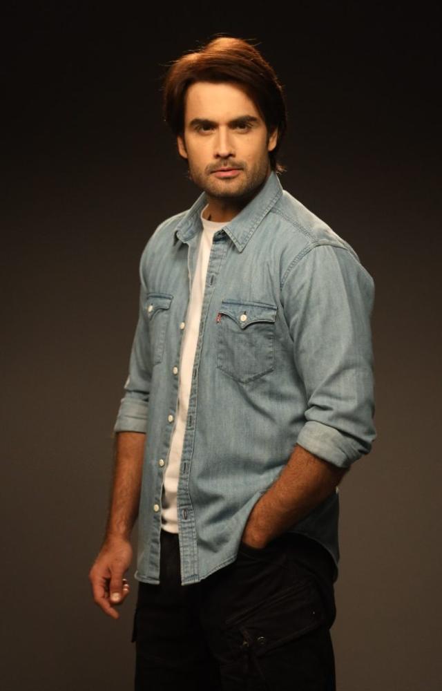 Bigg Boss 18: The Versatile Vivian Dsena