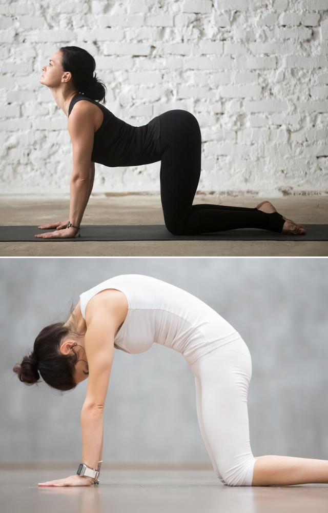 This pose warms up the spine and improves flexibility. It`s great for easing stiffness in the neck and back.