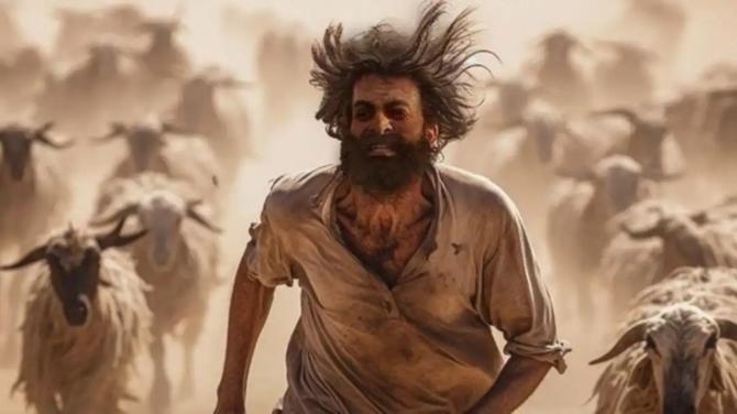 6 Indian Films To Contend For Oscars 2025