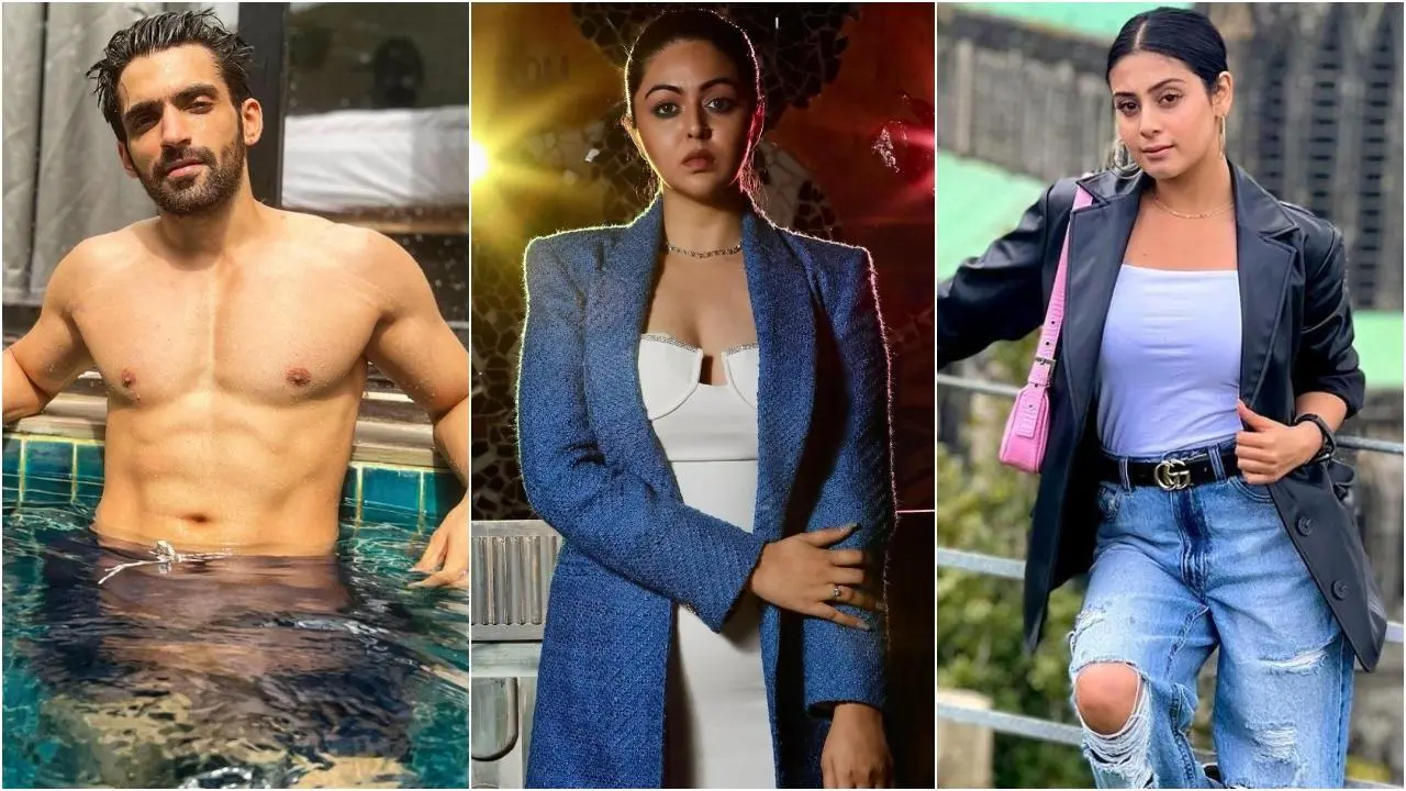 Potential participants of Bigg Boss 17 Potential participants of Bigg Boss 17