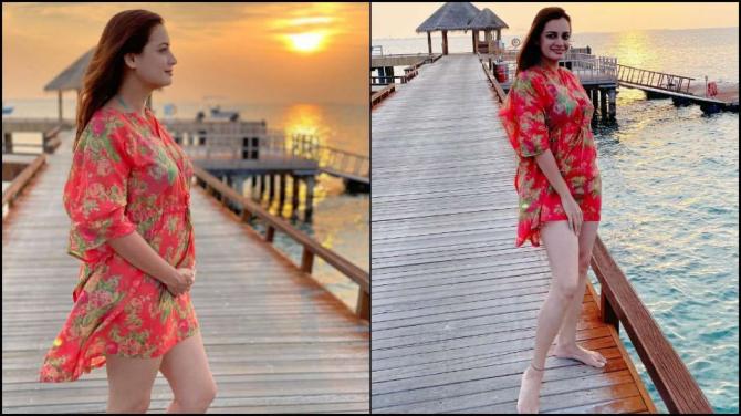 Neha Dhupia To Ileana D`Cruz, Actresses Who Were Trolled For Getting Pregnant Before Marriage