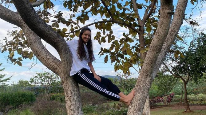 Happy Birthday Tripti Dimri: 10 Stunning Travel Pics Of Animal Actress