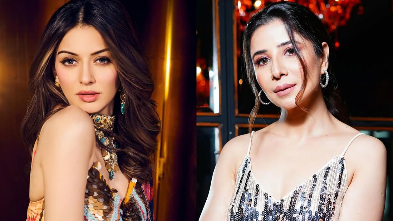 Hansika Motwani Battles FIR Filed By Sister-in-Law, Calls It A Vengeful Move