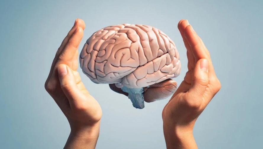 healthy habits top 5 healthy habits top 5