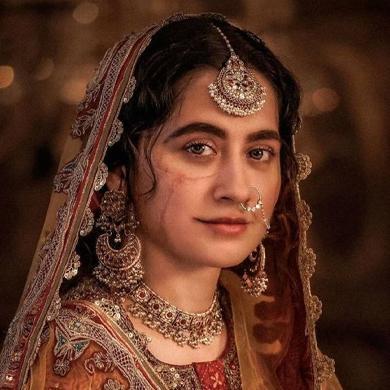 Heeramandi on trend with the women lead: Let`s guess few facts about the Sanjay Leela Bhansali`s Heeramandi