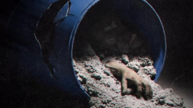 Taskaree To Honeymoon Se Hatya, 5 Must-Watch Hindi Series On OTT