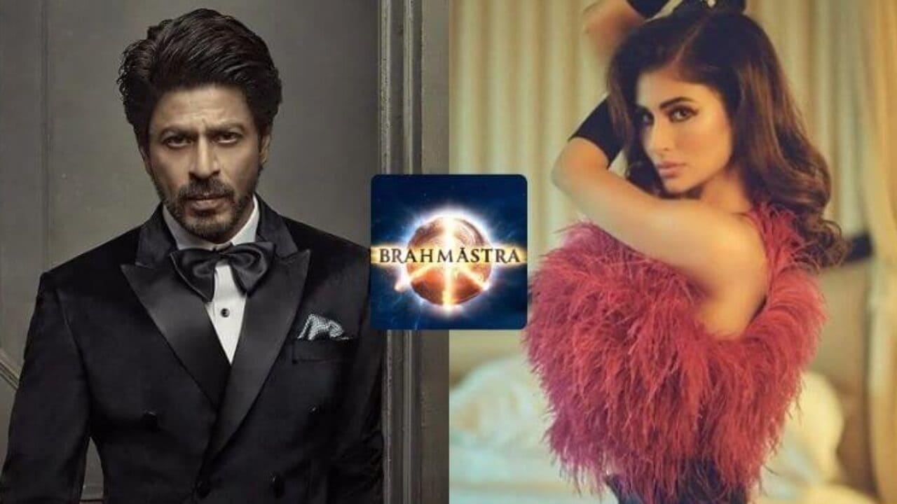 Just In! Mouni Roy Confirms Shah Rukh Khan`s Cameo In Brahmastra, Says She Feels Privileged