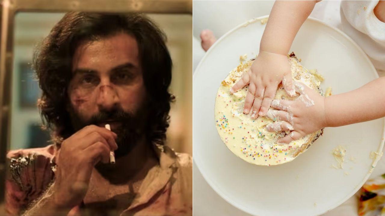 Ranbir Kapoor on Getting Off His Character in Animal to be With Daughter Raha