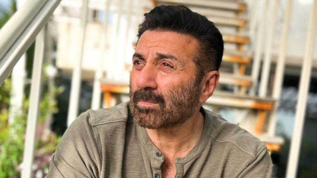 Upcoming Films of Sunny Deol After Success of Gadar 2