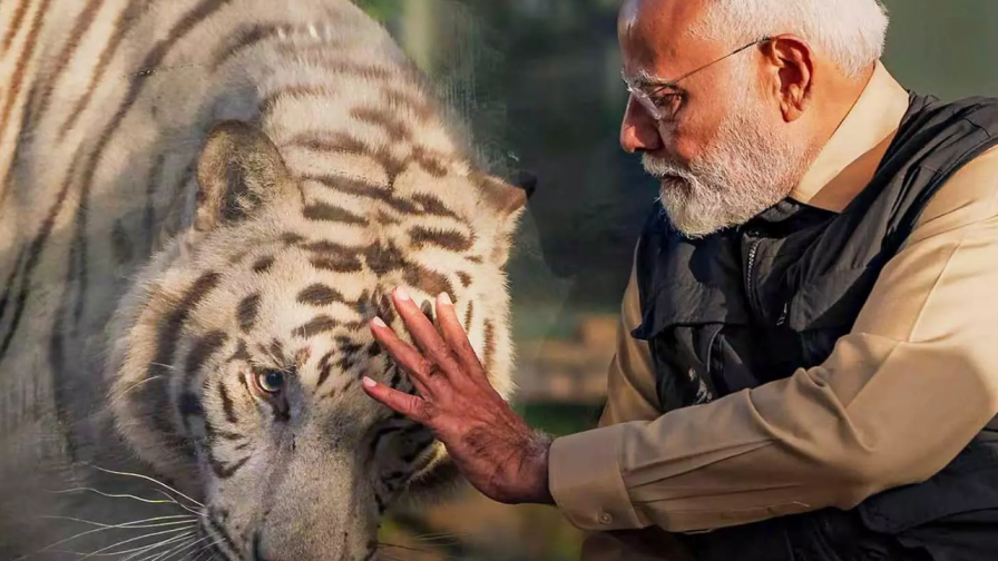 Pictures of PM Narendra Modi Visiting Reliance Foundation “Vantara” Pictures of PM Narendra Modi Visiting Reliance Foundation “Vantara”