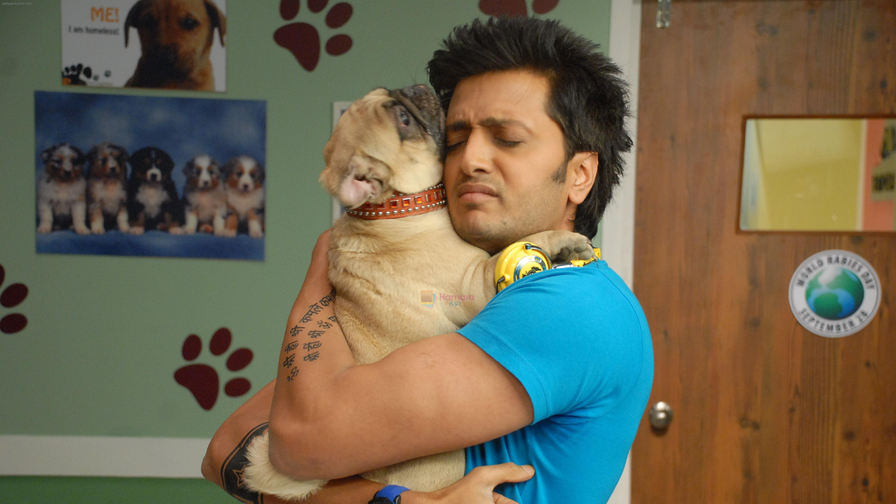 Kyaa Kool Hai Hum (2005)