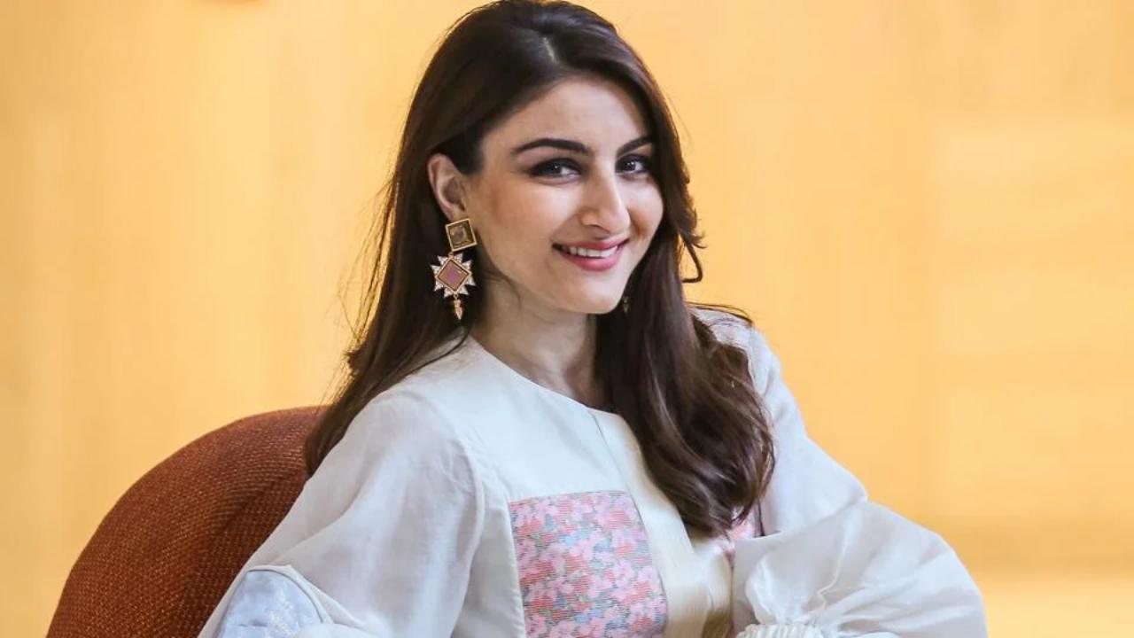 Soha Ali Khan: Best Performances by the Rang De Basanti actor
