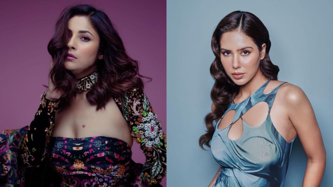 After Shehnaaz Gill, Sonam Bajwa Reveals How She Felt Being Sidelined: "I Have Seen Much Worse"