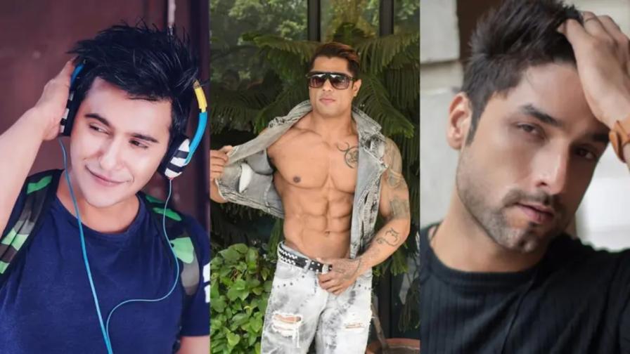 Mayank Pawar to Danish Zehen, Reality Show Contestants Who Passed Away Too Soon