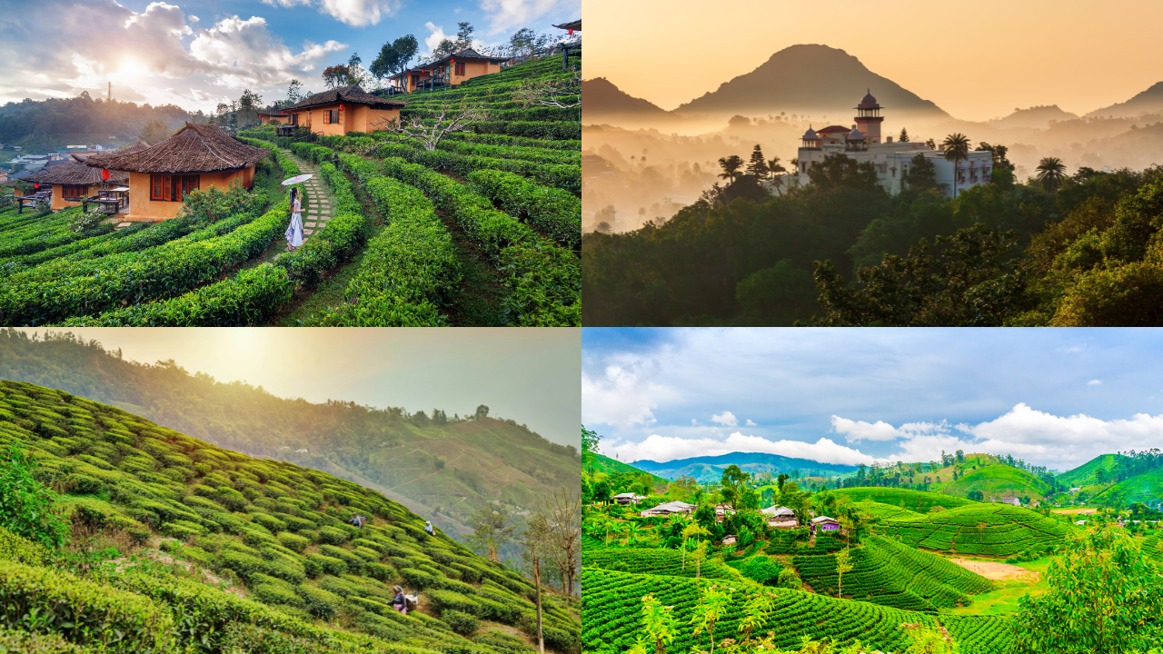 Summer Staycations in India