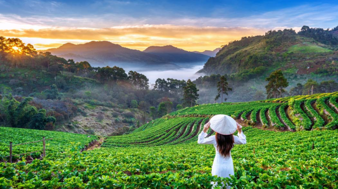 Munnar, Kerala