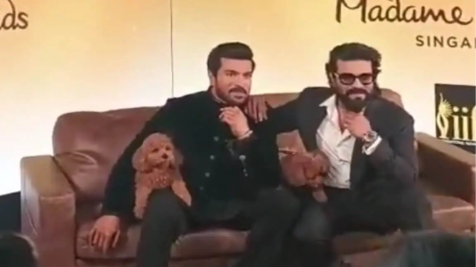 The Rare Celebrity Pet Inclusion