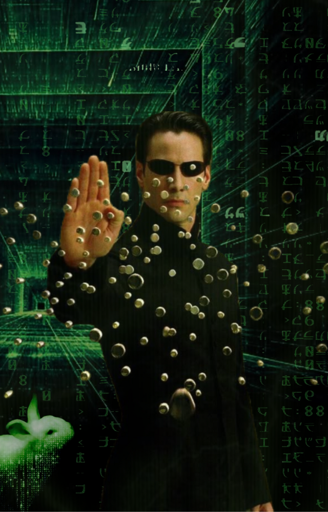 Neo is a computer programmer and hacker who discovers that the world we are living in is a simulated reality called Matrix and learns to break from the system.