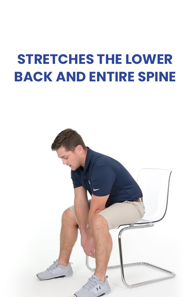 Reduce stiffness, increase flexibility, and advance general spine health. Ideal for relieving lower back pain.
