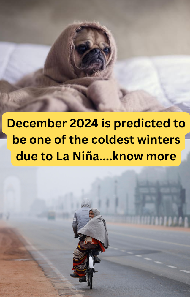 Know how La Niña Phenomenon is affecting
