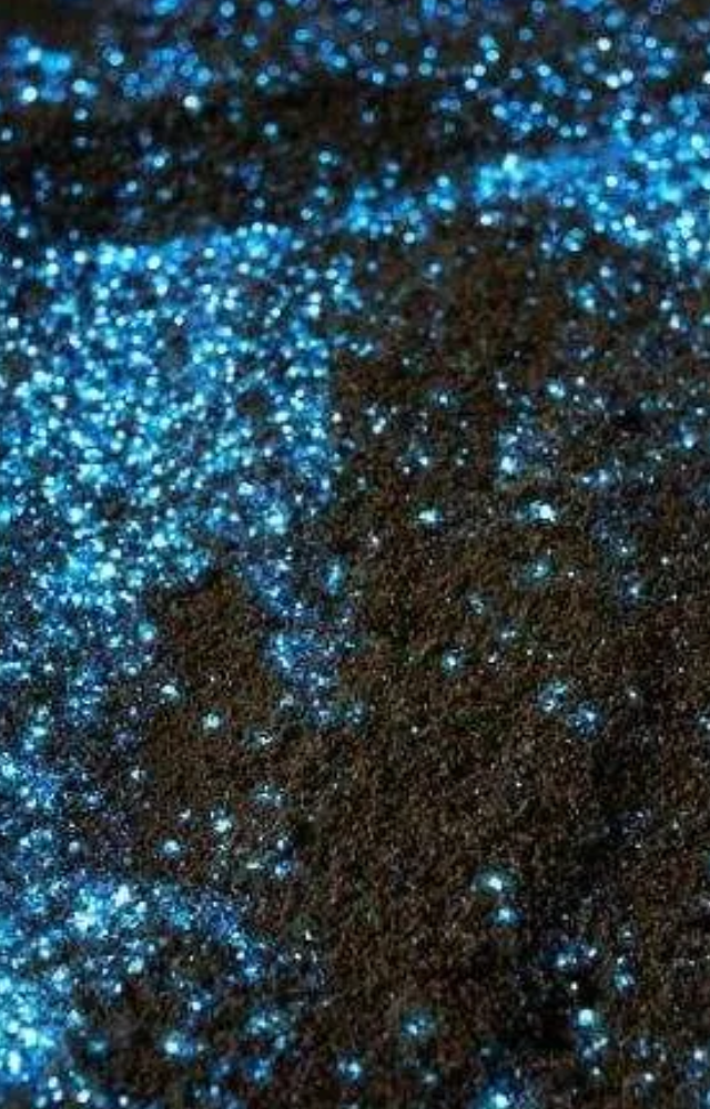  Proteins derived from bioluminescent organisms, such as the Green Fluorescent Protein (GFP), are invaluable in medical imaging, helping researchers visualize.