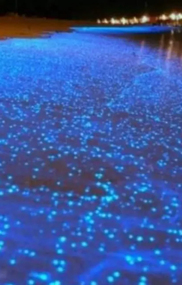 The use of bioluminescent assays accelerates the drug testing process by providing a quick and efficient way to measure effectiveness of new pharmaceuticals.