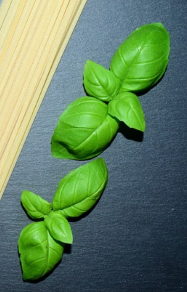 Support blood sugar regulation with natural compounds. A flavorful addition to meals, promoting overall well-being.