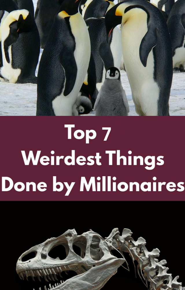 Weird Things Millionaires Collect