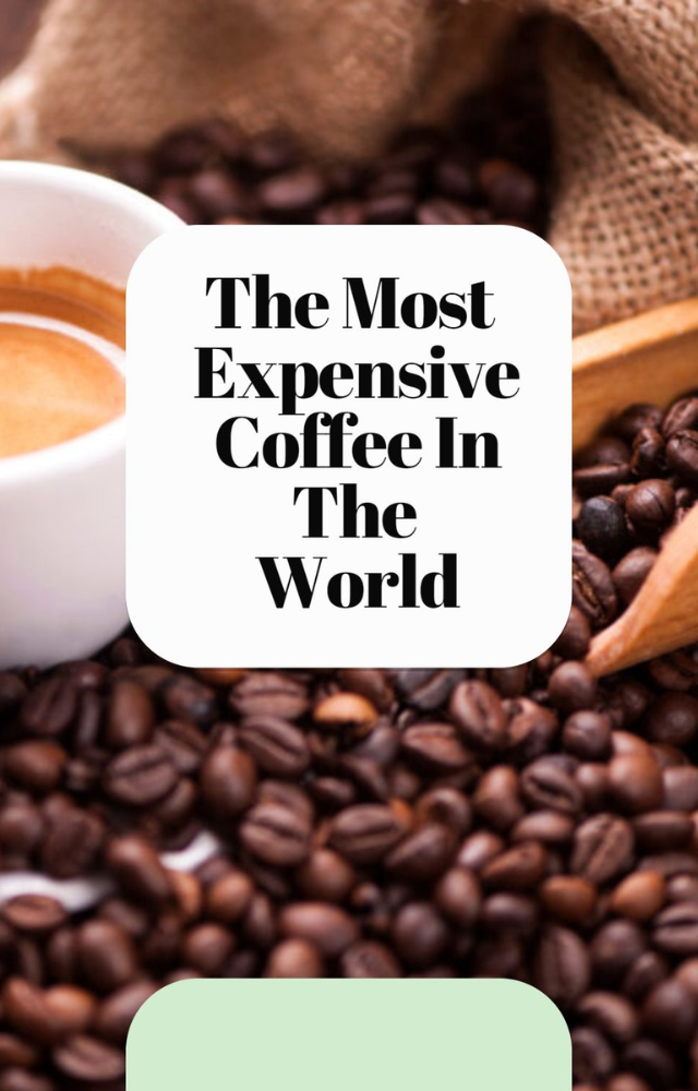 Most Expensive Coffees Brewed