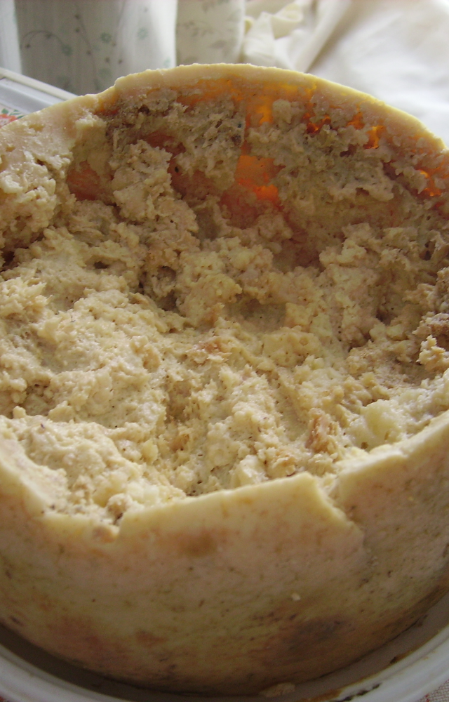 A Sardinian cheese infested with live maggots. It’s banned in many countries but enjoyed by daring rich food lovers.
