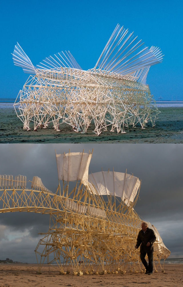 These massive skeleton-like creatures walk along beaches powered only by wind—part sculpture, part engineering marvel.
