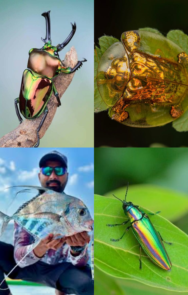 Animals With Metallic Skin