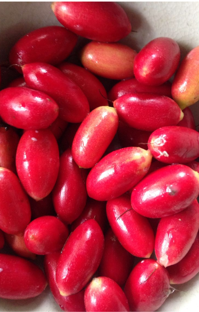 This fruit coats your taste buds and makes sour foods like lemons taste sweet as you chew—lasts for up to 30 minutes.
