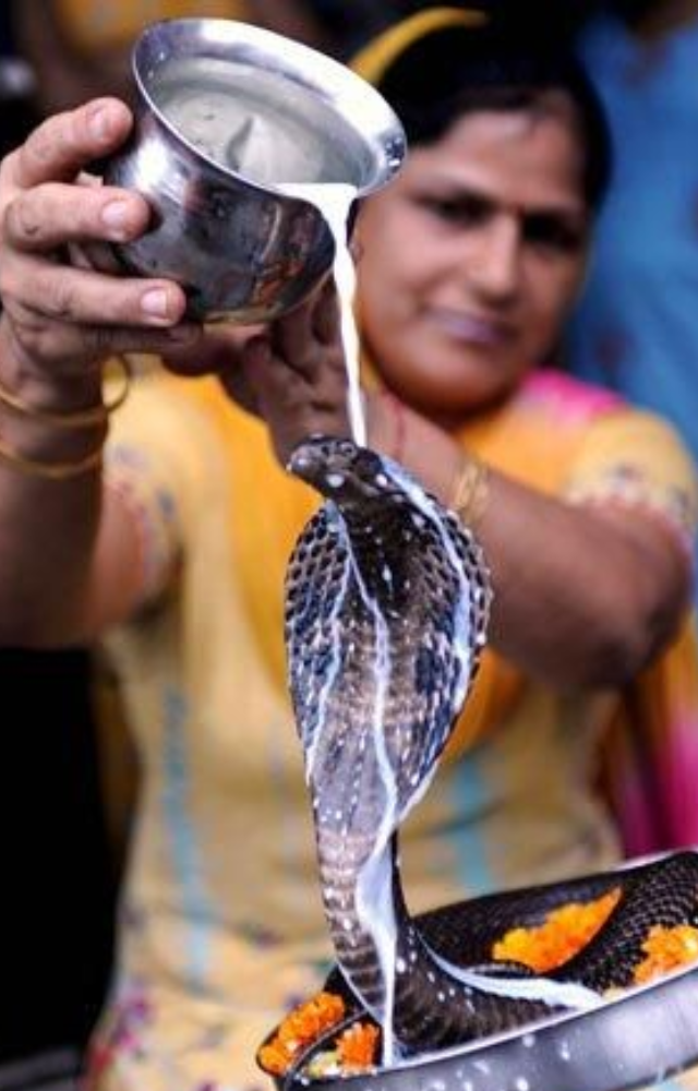 Worshipped in India, Africa, and South America, snakes symbolize rebirth, fertility, and immortality—often linked to powerful deities.
