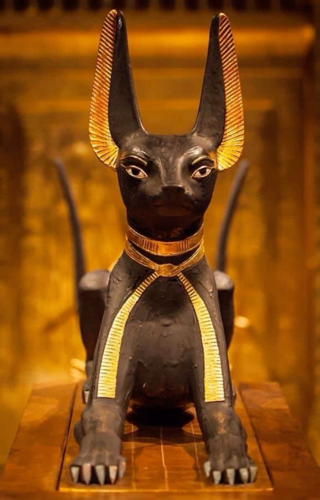Animals Once Worshipped as Gods