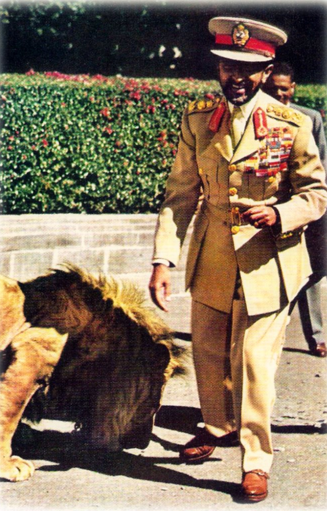 Kept lions on his palace grounds in Addis Ababa, viewing them as sacred and symbolic of his lineage from the Lion of Judah.
