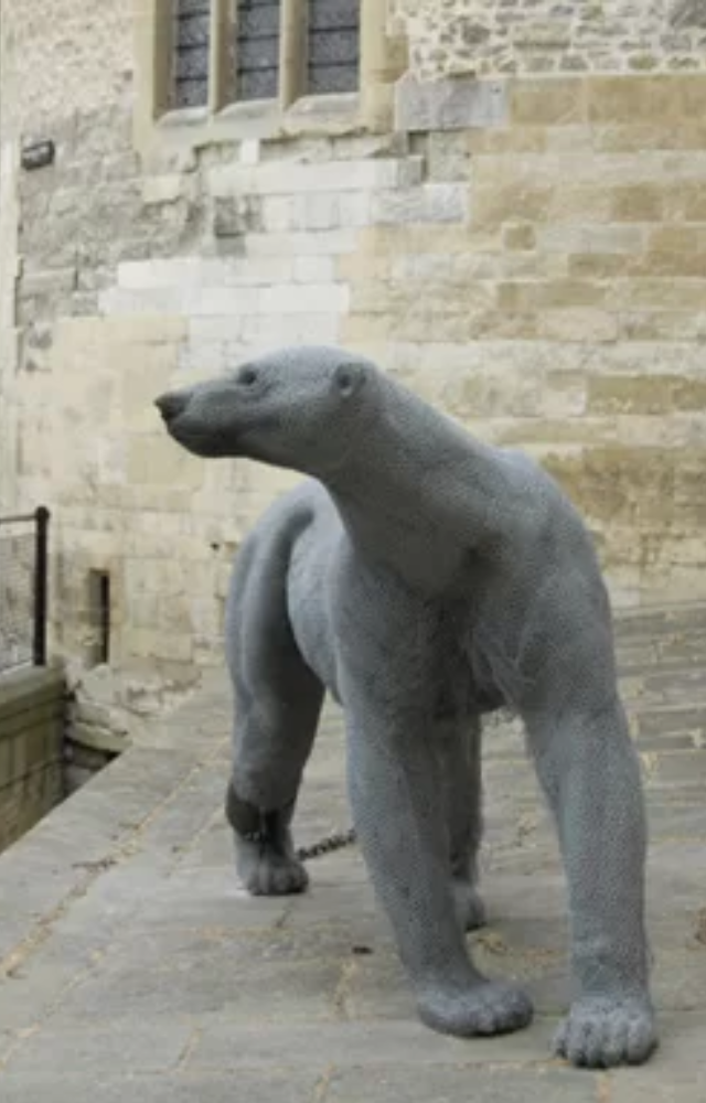 In the 13th century, he kept a polar bear in the Tower of London—chained but allowed to swim and fish in the Thames.
