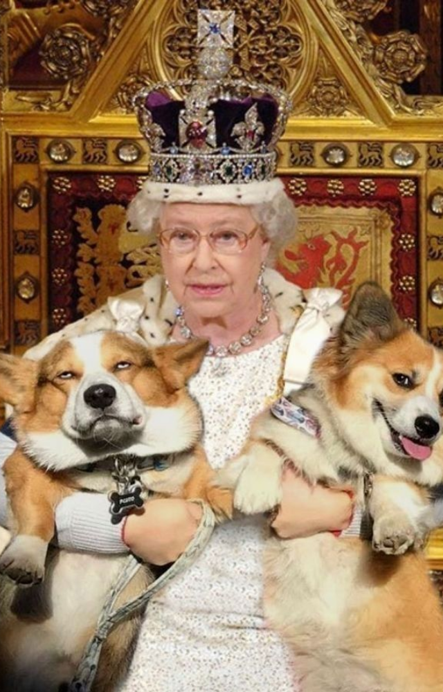 Royals With Exotic Animal Pets