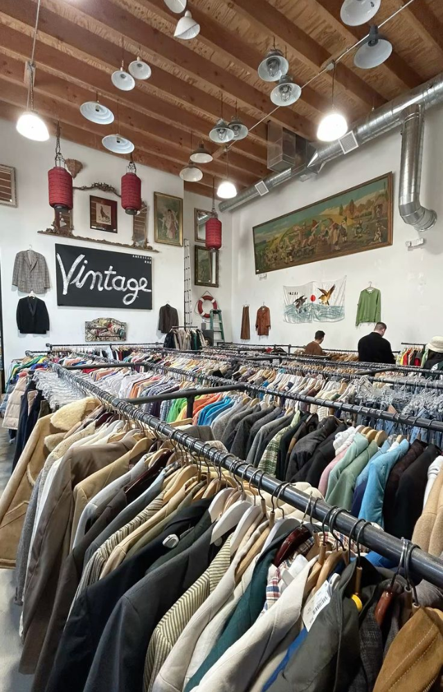 Neighborhood thrift shops often hide vintage gems—denim, leather jackets, and dresses from past decades at unbeatable prices.

