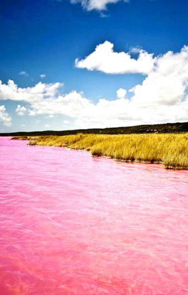 Known for its salt levels and halobacteria, Lake Retba shifts from soft pink to deep mauve depending on sunlight and rainfall.

