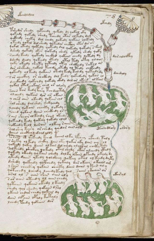A book filled with unknown script and bizarre illustrations. Linguists and codebreakers still can’t decode this 15th-century mystery.

