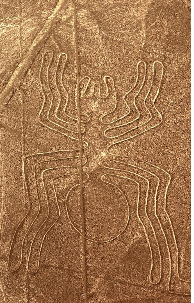 Massive ancient geoglyphs etched into desert soil. Visible only from above, their purpose and how they were created remain unexplained.

